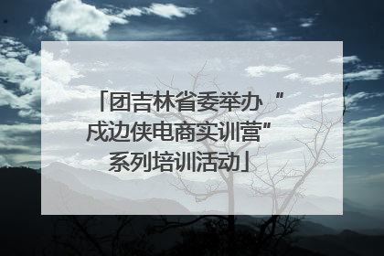 团吉林省委举办“戍边侠电商实训营”系列培训活动