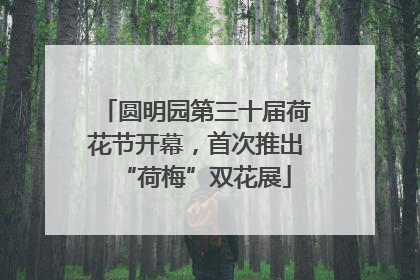 圆明园第三十届荷花节开幕，首次推出“荷梅”双花展