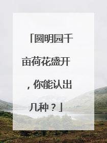 圆明园千亩荷花盛开，你能认出几种？