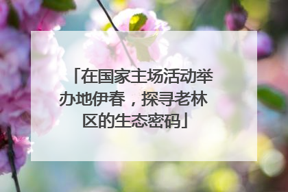 在国家主场活动举办地伊春，探寻老林区的生态密码