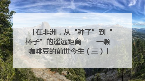 在非洲，从“种子”到“杯子”的遥远距离——一颗咖啡豆的前世今生（三）
