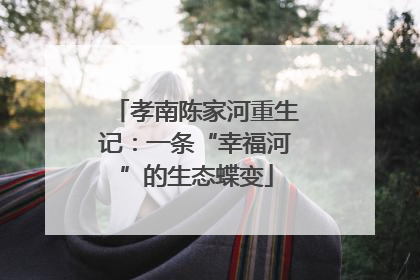 孝南陈家河重生记：一条“幸福河”的生态蝶变