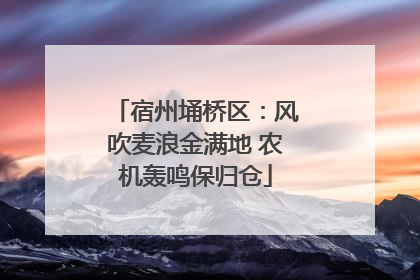 宿州埇桥区：风吹麦浪金满地 农机轰鸣保归仓