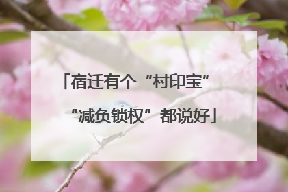 宿迁有个“村印宝” “减负锁权”都说好
