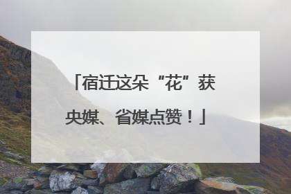 宿迁这朵“花”获央媒、省媒点赞！