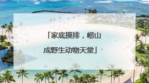家底摸排，崂山成野生动物天堂