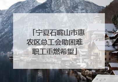 宁夏石嘴山市惠农区总工会助困难职工重燃希望