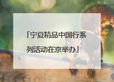 宁夏精品中国行系列活动在京举办