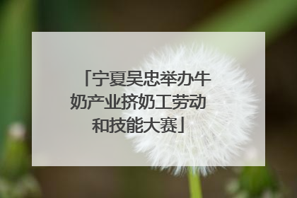 宁夏吴忠举办牛奶产业挤奶工劳动和技能大赛