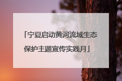宁夏启动黄河流域生态保护主题宣传实践月