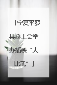宁夏平罗县总工会举办插秧“大比武”