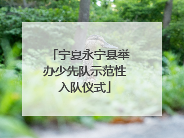 宁夏永宁县举办少先队示范性入队仪式