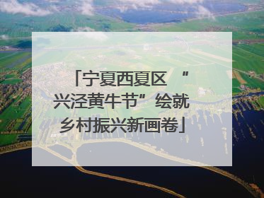 宁夏西夏区 “兴泾黄牛节”绘就乡村振兴新画卷