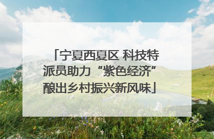 宁夏西夏区 科技特派员助力“紫色经济”酿出乡村振兴新风味