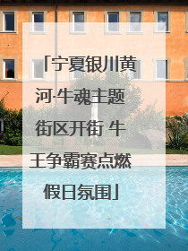 宁夏银川黄河·牛魂主题街区开街 牛王争霸赛点燃假日氛围
