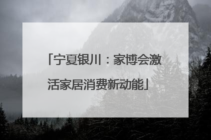 宁夏银川：家博会激活家居消费新动能