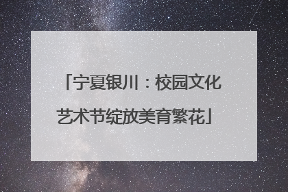 宁夏银川：校园文化艺术节绽放美育繁花