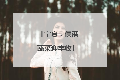 宁夏：供港蔬菜迎丰收