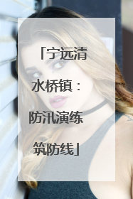 宁远清水桥镇：防汛演练筑防线