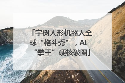 宇树人形机器人全球“格斗秀”，AI“拳王”硬核破圈