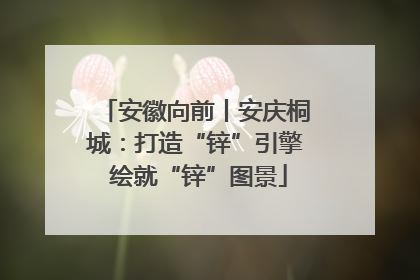 安徽向前丨安庆桐城：打造“锌”引擎 绘就“锌”图景
