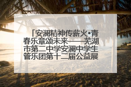 安澜精神传薪火•青春乐章颂未来——芜湖市第二中学安澜中学生管乐团第十二届公益展演圆满举行