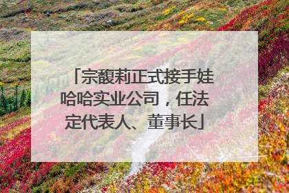 宗馥莉正式接手娃哈哈实业公司，任法定代表人、董事长