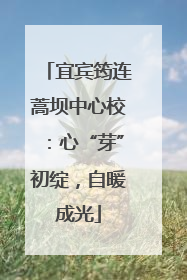 宜宾筠连蒿坝中心校：心“芽”初绽，自暖成光