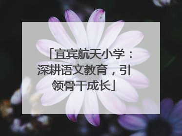 宜宾航天小学：深耕语文教育，引领骨干成长