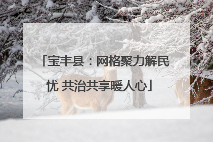 宝丰县：网格聚力解民忧 共治共享暖人心