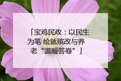 宝鸡民政：以民生为笔 绘就殡改与养老“温暖答卷”