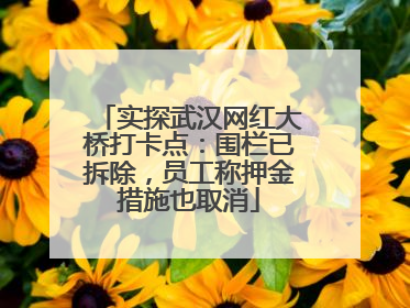 实探武汉网红大桥打卡点：围栏已拆除，员工称押金措施也取消
