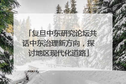 复旦中东研究论坛共话中东治理新方向，探讨地区现代化道路