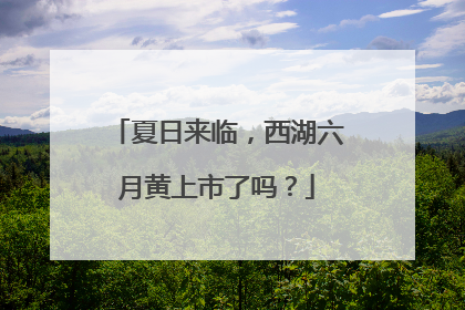 夏日来临，西湖六月黄上市了吗？