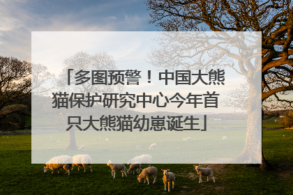 多图预警！中国大熊猫保护研究中心今年首只大熊猫幼崽诞生