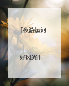 夜游运河好风光