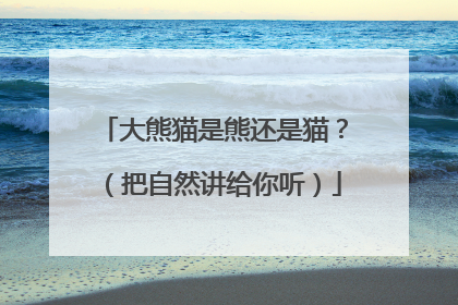 大熊猫是熊还是猫？（把自然讲给你听）