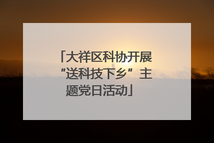 大祥区科协开展“送科技下乡”主题党日活动