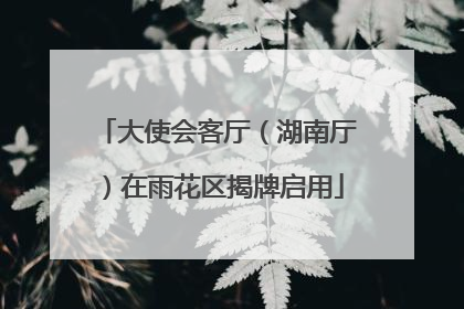 大使会客厅（湖南厅）在雨花区揭牌启用