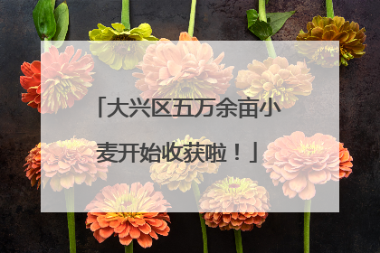 大兴区五万余亩小麦开始收获啦！