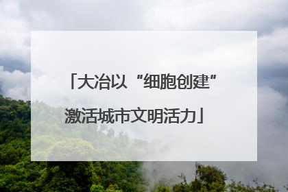大冶以“细胞创建”激活城市文明活力