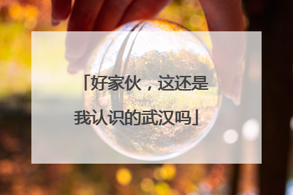 好家伙，这还是我认识的武汉吗