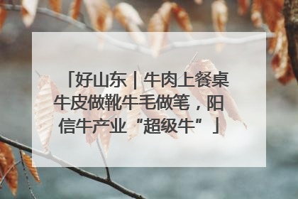 好山东｜牛肉上餐桌牛皮做靴牛毛做笔，阳信牛产业“超级牛”