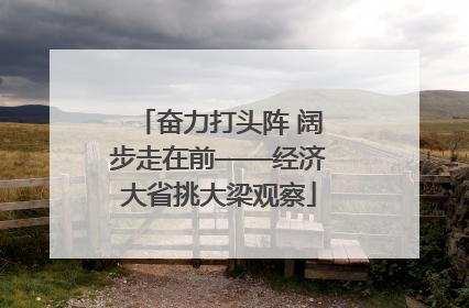 奋力打头阵 阔步走在前——经济大省挑大梁观察