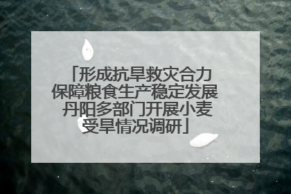 形成抗旱救灾合力 保障粮食生产稳定发展 丹阳多部门开展小麦受旱情况调研
