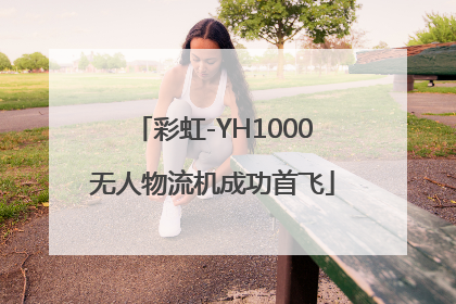彩虹-YH1000无人物流机成功首飞