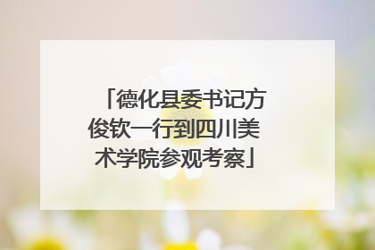 德化县委书记方俊钦一行到四川美术学院参观考察