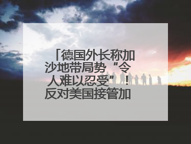 德国外长称加沙地带局势“令人难以忍受”！反对美国接管加沙地带的想法