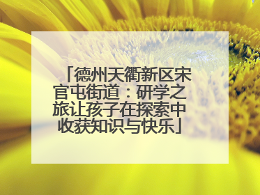 德州天衢新区宋官屯街道：研学之旅让孩子在探索中收获知识与快乐