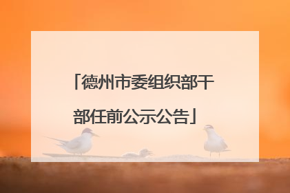 德州市委组织部干部任前公示公告